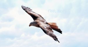 be free-loveyourself-tantra-changeyourlife-stella-luxemburg